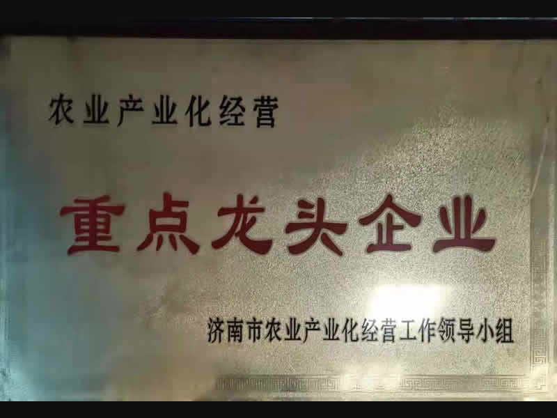 龍頭企業